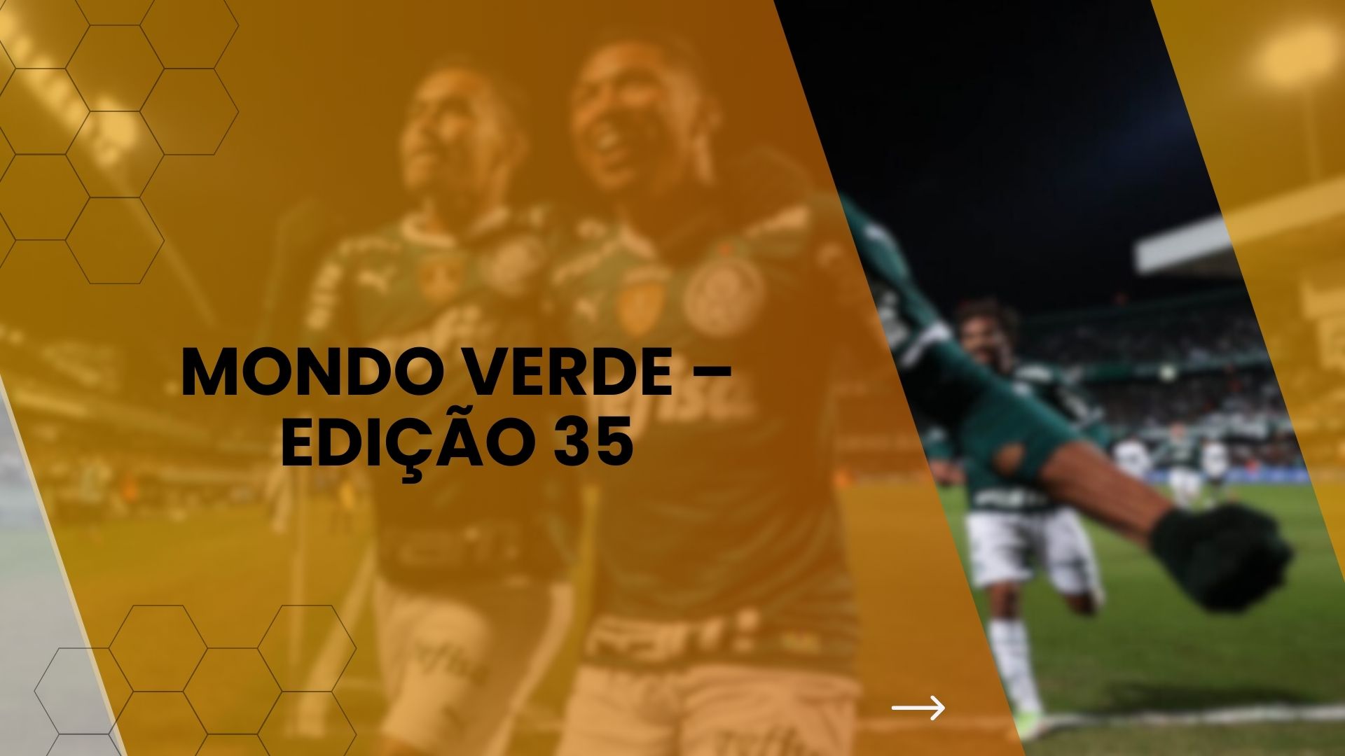 MONDO VERDE – EDIÇÃO 35