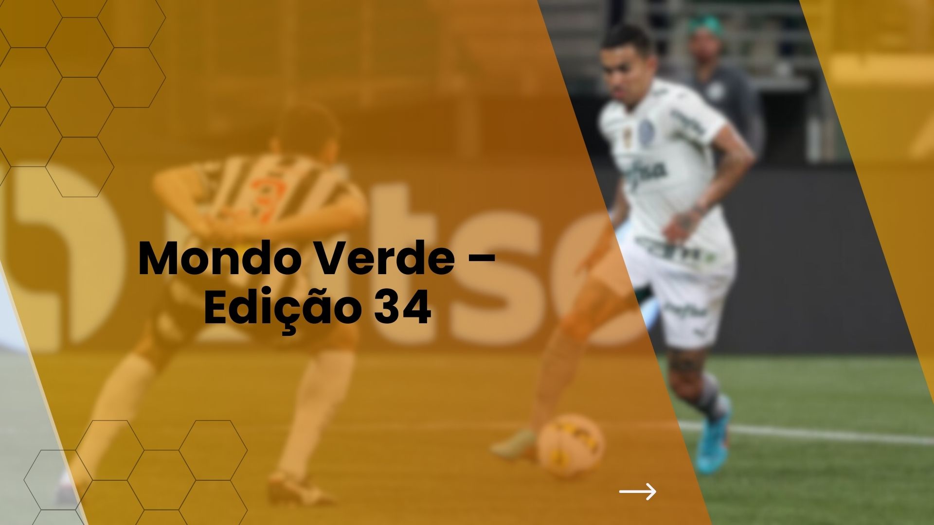 Mondo Verde – Edição 34
